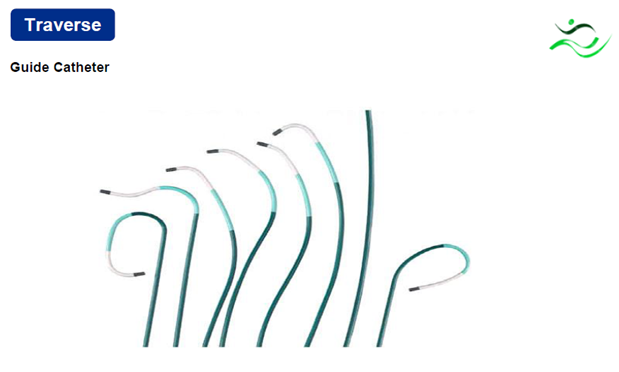 Guide Catheter